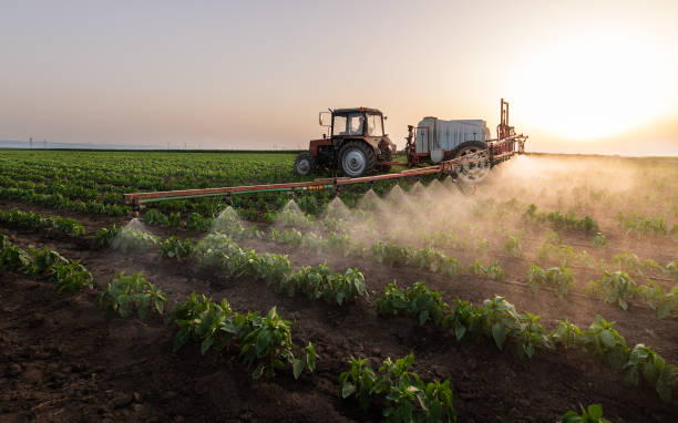 Best Commercial Pest Control Services  in Russells Point, OH