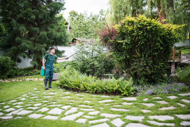 Best Pest Prevention Services  in Russells Point, OH