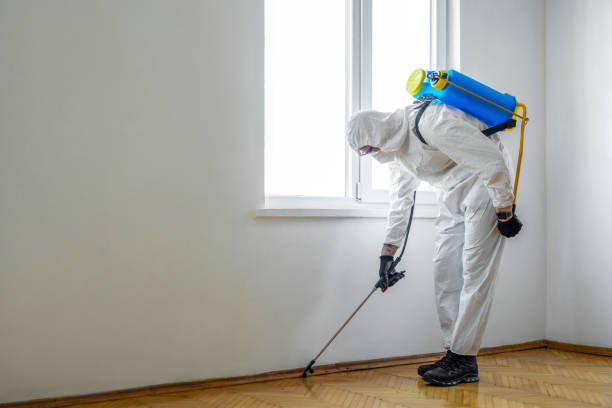 Best Pest Control for Homes  in Russells Point, OH