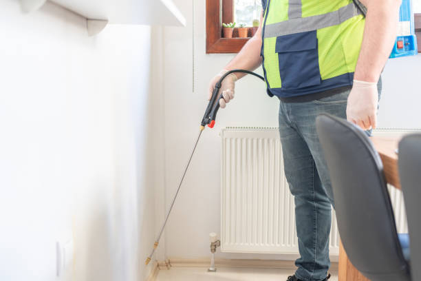 Best Wasp Removal Services  in Russells Point, OH