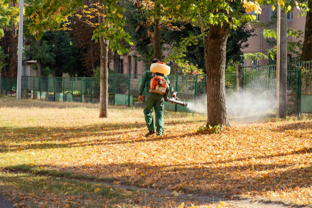 Best Local Pest Control Services  in Russells Point, OH