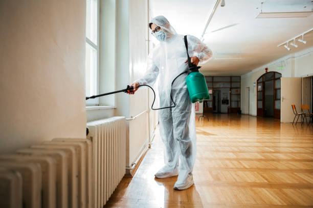 Best Best Pest Control Companies  in Russells Point, OH